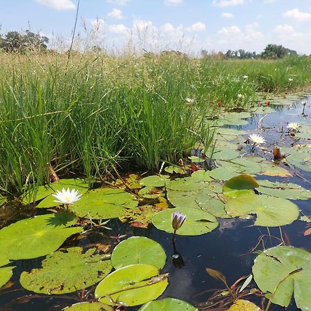Golentle Home Stay Maun Eksteriør billede
