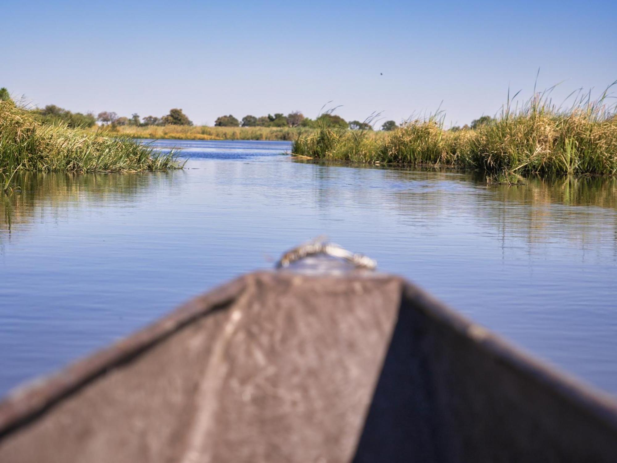 Golentle Home Stay Maun Eksteriør billede