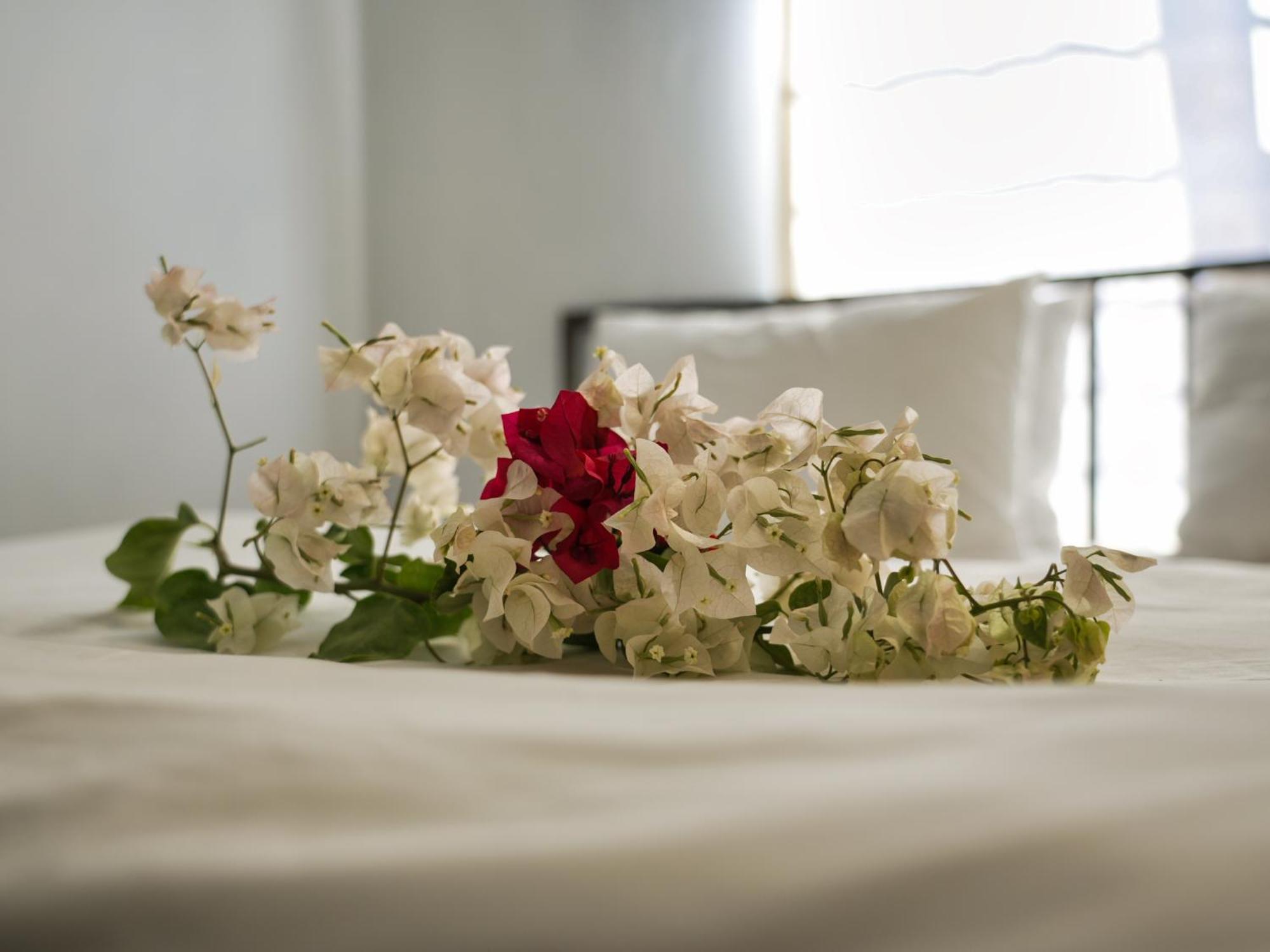Golentle Home Stay Maun Værelse billede