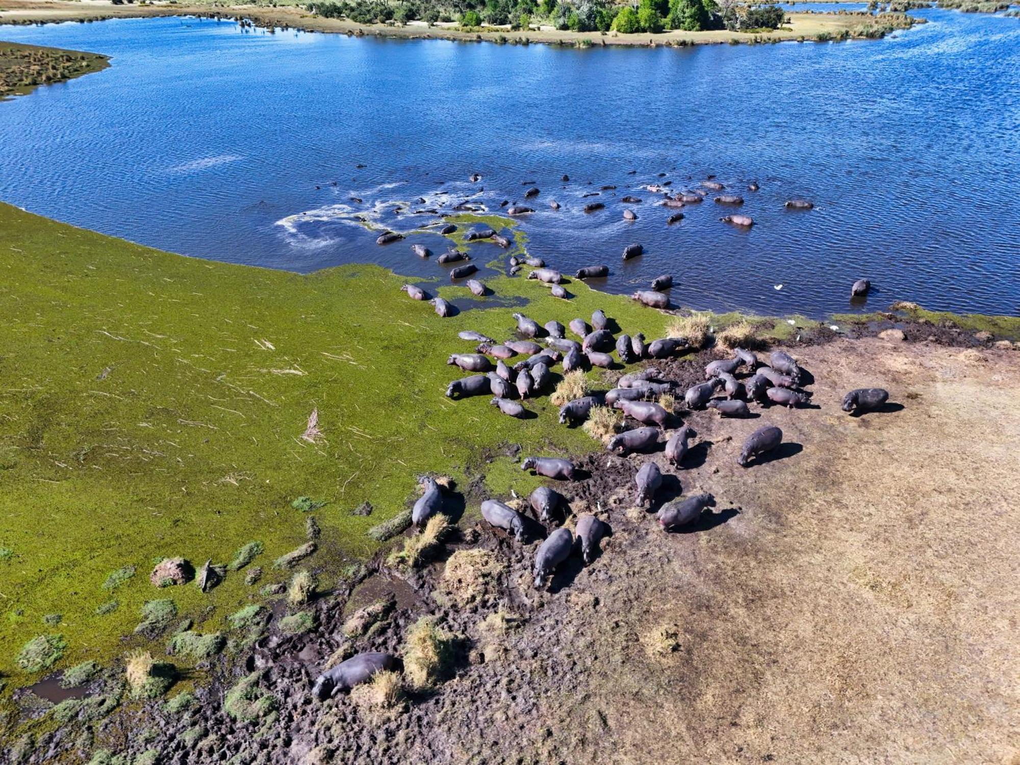 Golentle Home Stay Maun Eksteriør billede