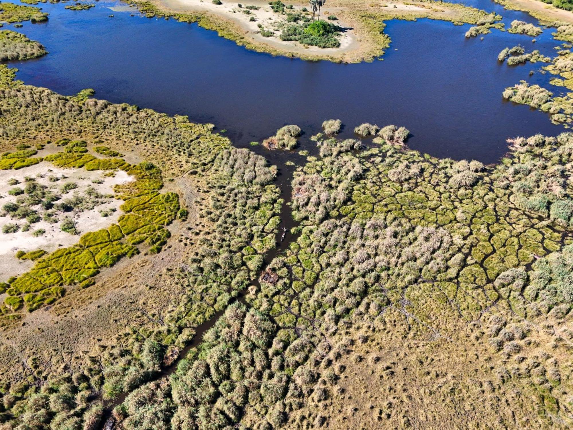 Golentle Home Stay Maun Eksteriør billede