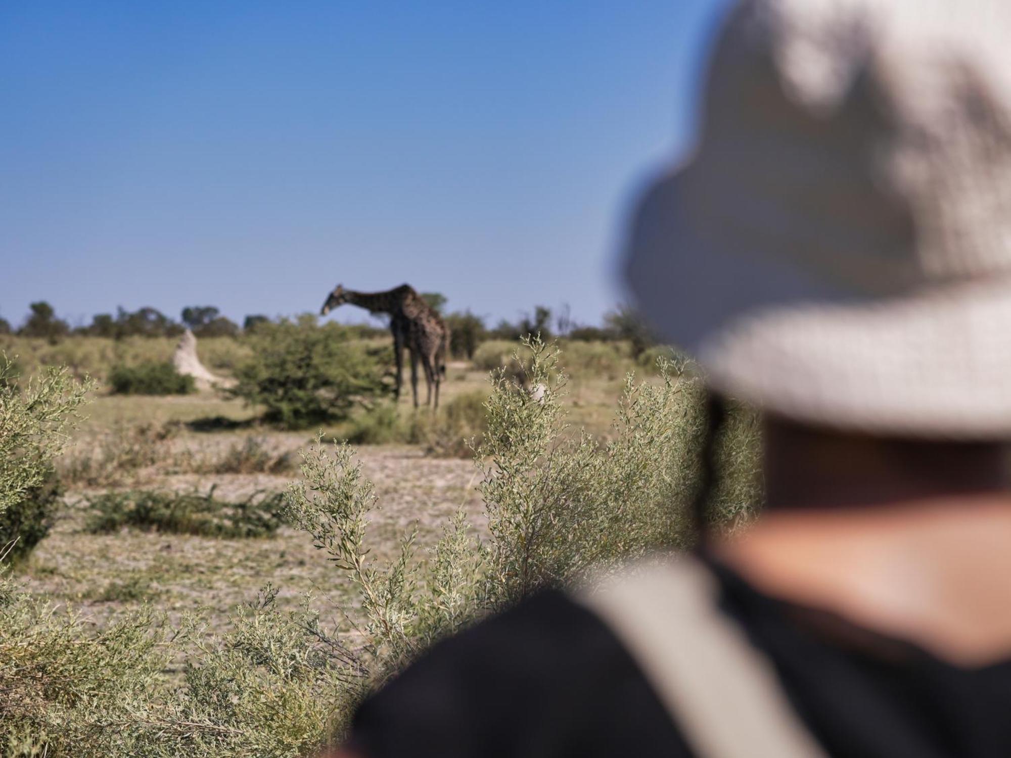 Golentle Home Stay Maun Eksteriør billede