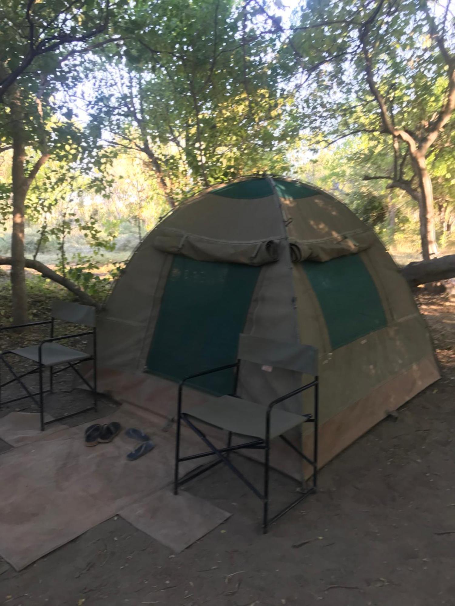 Golentle Home Stay Maun Eksteriør billede